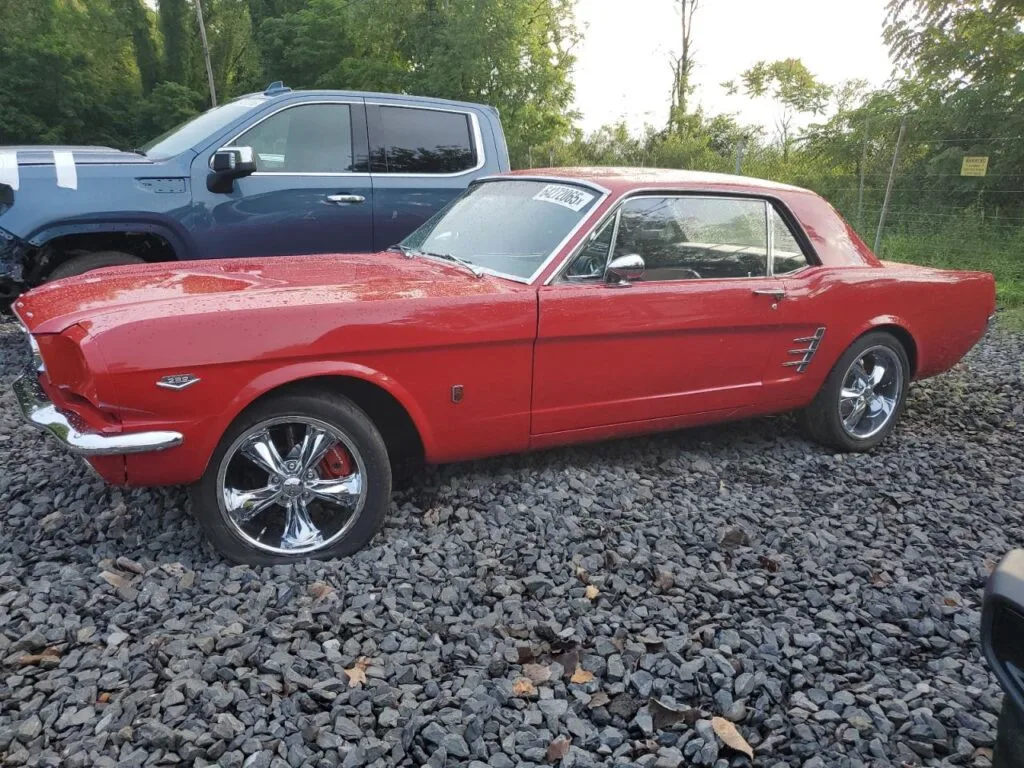 Ford Mustang 1966 Coupé 289 V8 Vermelha em stock AutoZilla Portugal — foto 11