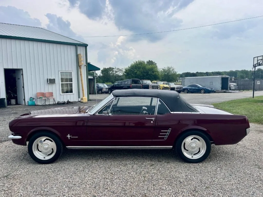 Ford Mustang Convertible 1966 — Bordeaux