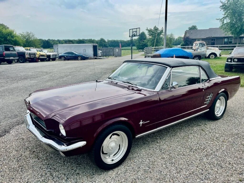 Ford Mustang Convertible 1966 — Bordeaux